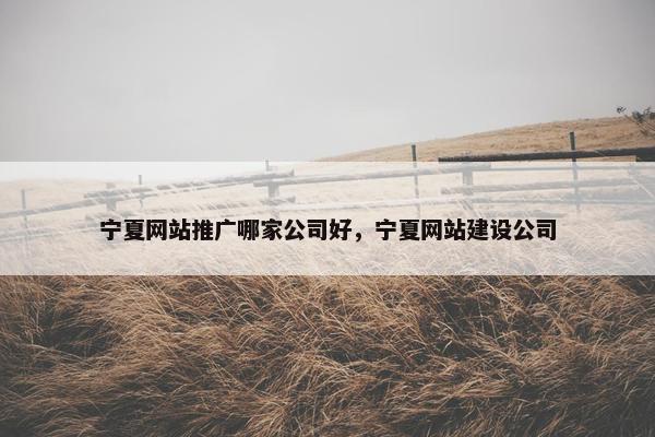 宁夏网站推广哪家公司好，宁夏网站建设公司