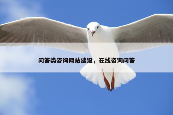 问答类咨询网站建设，在线咨询问答