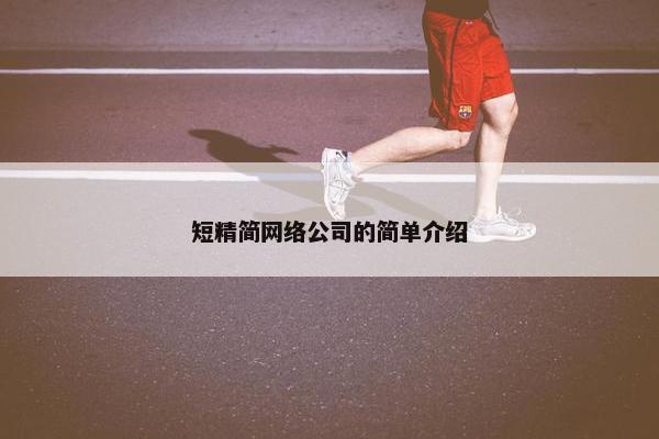 短精简网络公司的简单介绍