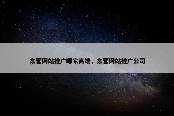 东营网站推广哪家高端，东营网站推广公司
