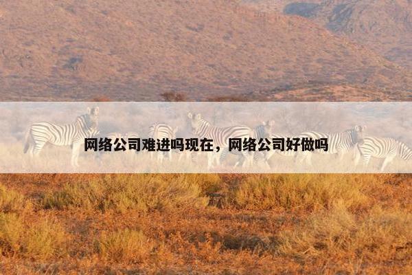 网络公司难进吗现在，网络公司好做吗
