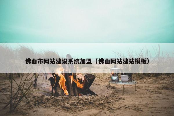 佛山市网站建设系统加盟（佛山网站建站模板）