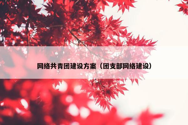 网络共青团建设方案（团支部网络建设）