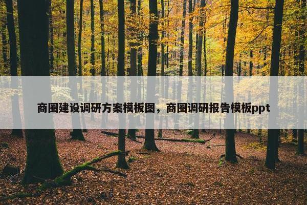 商圈建设调研方案模板图，商圈调研报告模板ppt