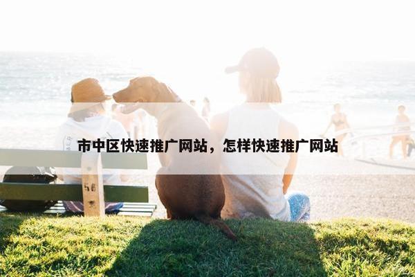 市中区快速推广网站，怎样快速推广网站