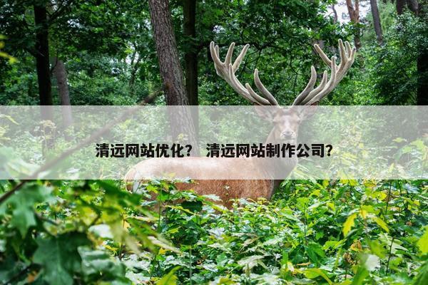 清远网站优化？ 清远网站制作公司？