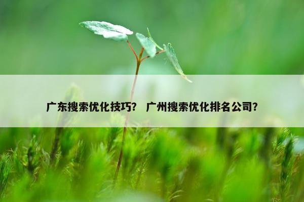 广东搜索优化技巧？ 广州搜索优化排名公司？