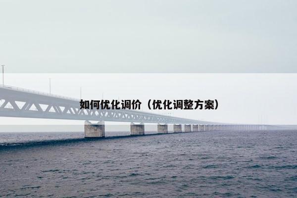 如何优化调价（优化调整方案）