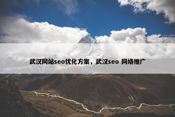 武汉网站seo优化方案，武汉seo 网络推广