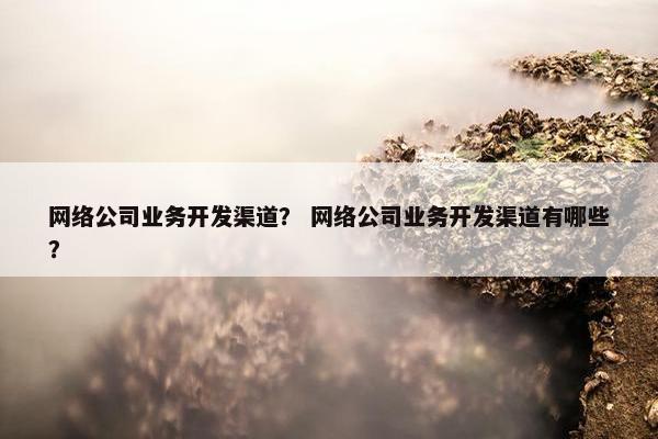 网络公司业务开发渠道？ 网络公司业务开发渠道有哪些？