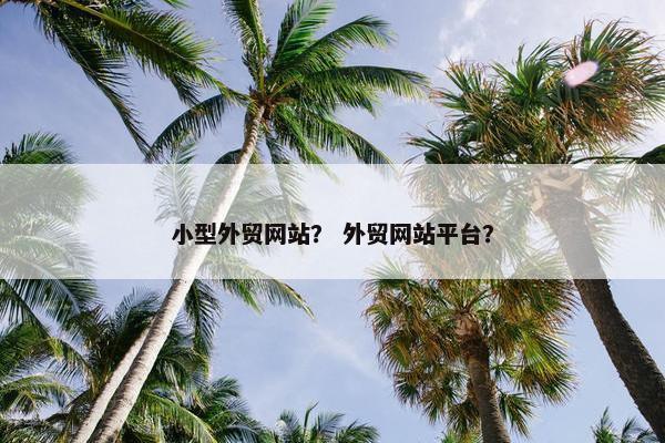 小型外贸网站？ 外贸网站平台？