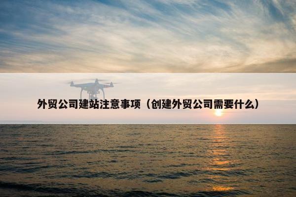 外贸公司建站注意事项（创建外贸公司需要什么）