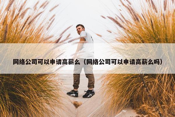 网络公司可以申请高薪么（网络公司可以申请高薪么吗）