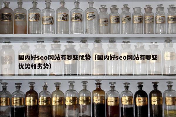 国内好seo网站有哪些优势（国内好seo网站有哪些优势和劣势）