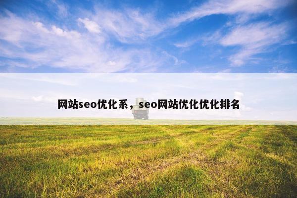 网站seo优化系，seo网站优化优化排名