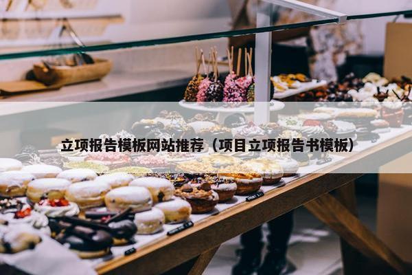 立项报告模板网站推荐（项目立项报告书模板）