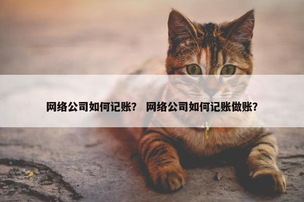 网络公司如何记账？ 网络公司如何记账做账？