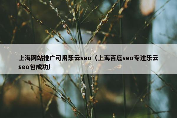 上海网站推广可用乐云seo（上海百度seo专注乐云seo包成功）