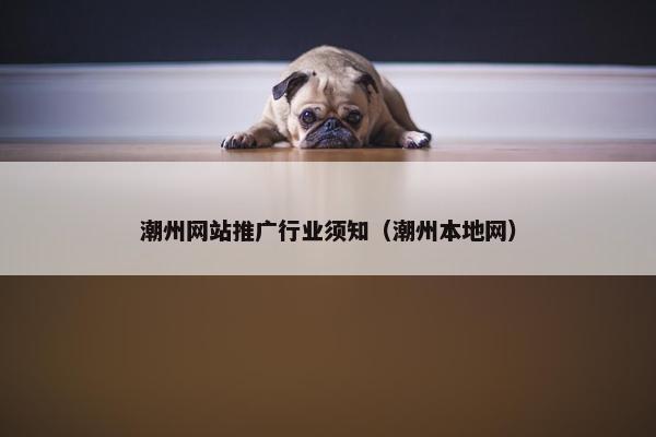 潮州网站推广行业须知（潮州本地网）