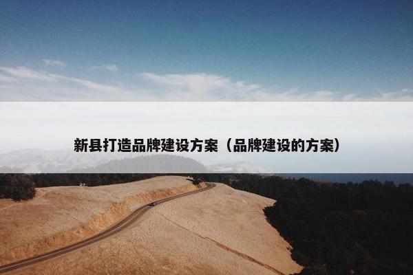 新县打造品牌建设方案（品牌建设的方案）