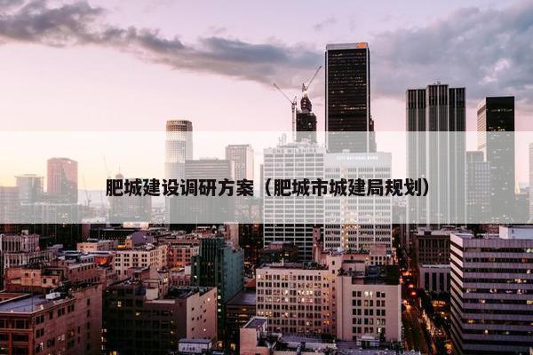 肥城建设调研方案（肥城市城建局规划）