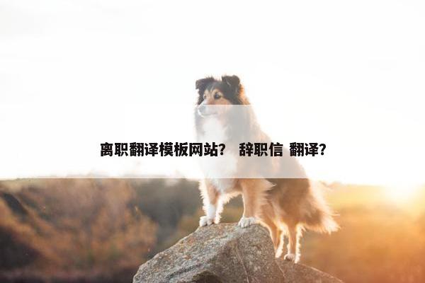 离职翻译模板网站？ 辞职信 翻译？