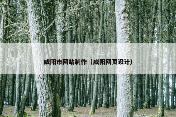 咸阳市网站制作（咸阳网页设计）