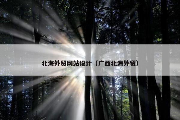 北海外贸网站设计（广西北海外贸）