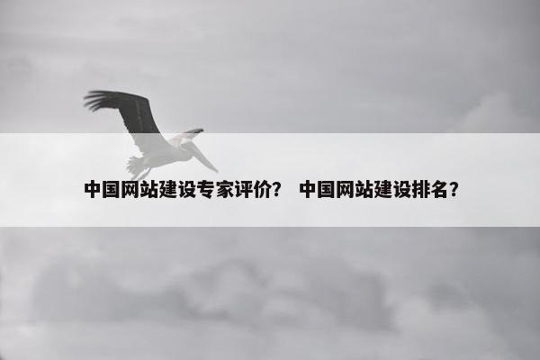 中国网站建设专家评价？ 中国网站建设排名？