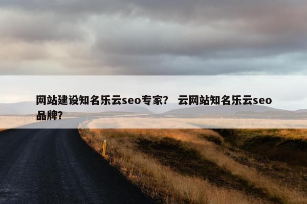 网站建设知名乐云seo专家？ 云网站知名乐云seo品牌？