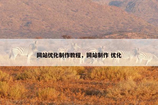 网站优化制作教程，网站制作 优化