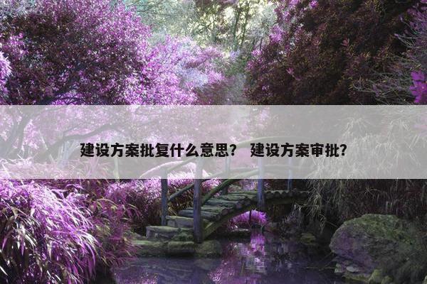 建设方案批复什么意思？ 建设方案审批？