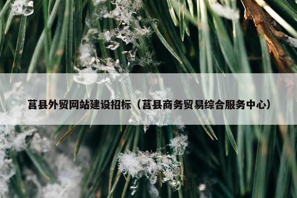 莒县外贸网站建设招标（莒县商务贸易综合服务中心）