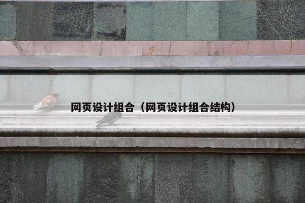 网页设计组合（网页设计组合结构）