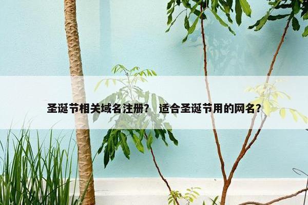 圣诞节相关域名注册？ 适合圣诞节用的网名？
