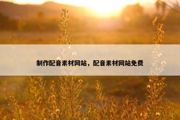制作配音素材网站，配音素材网站免费