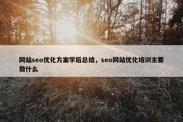 网站seo优化方案学后总结，seo网站优化培训主要做什么