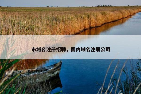 市域名注册招聘，国内域名注册公司