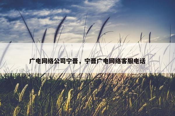 广电网络公司宁晋，宁晋广电网络客服电话