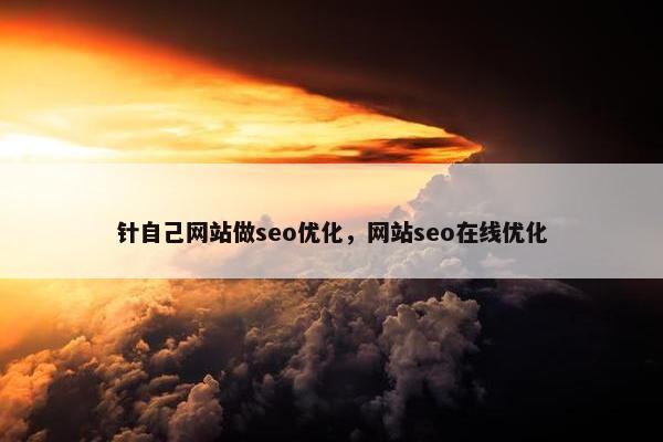 针自己网站做seo优化，网站seo在线优化
