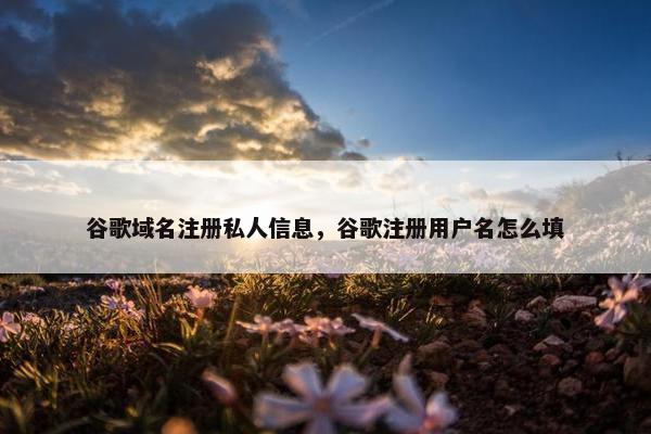 谷歌域名注册私人信息，谷歌注册用户名怎么填