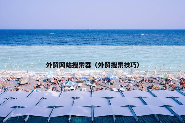 外贸网站搜索器（外贸搜索技巧）