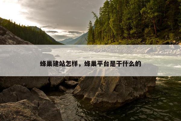 蜂巢建站怎样，蜂巢平台是干什么的