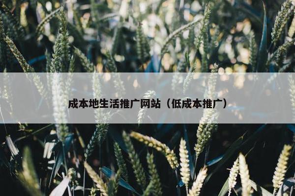 成本地生活推广网站（低成本推广）