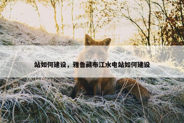 站如何建设，雅鲁藏布江水电站如何建设