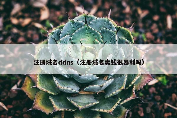 注册域名ddns（注册域名卖钱很暴利吗）
