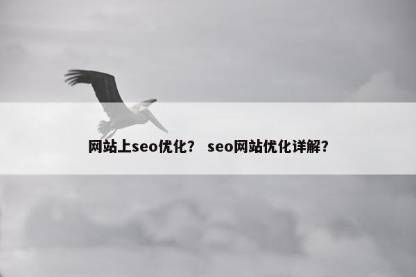 网站上seo优化？ seo网站优化详解？