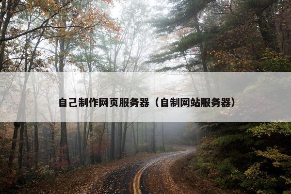 自己制作网页服务器（自制网站服务器）