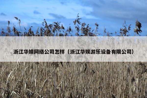 浙江华娱网络公司怎样（浙江华娱游乐设备有限公司）