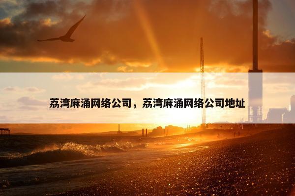 荔湾麻涌网络公司，荔湾麻涌网络公司地址